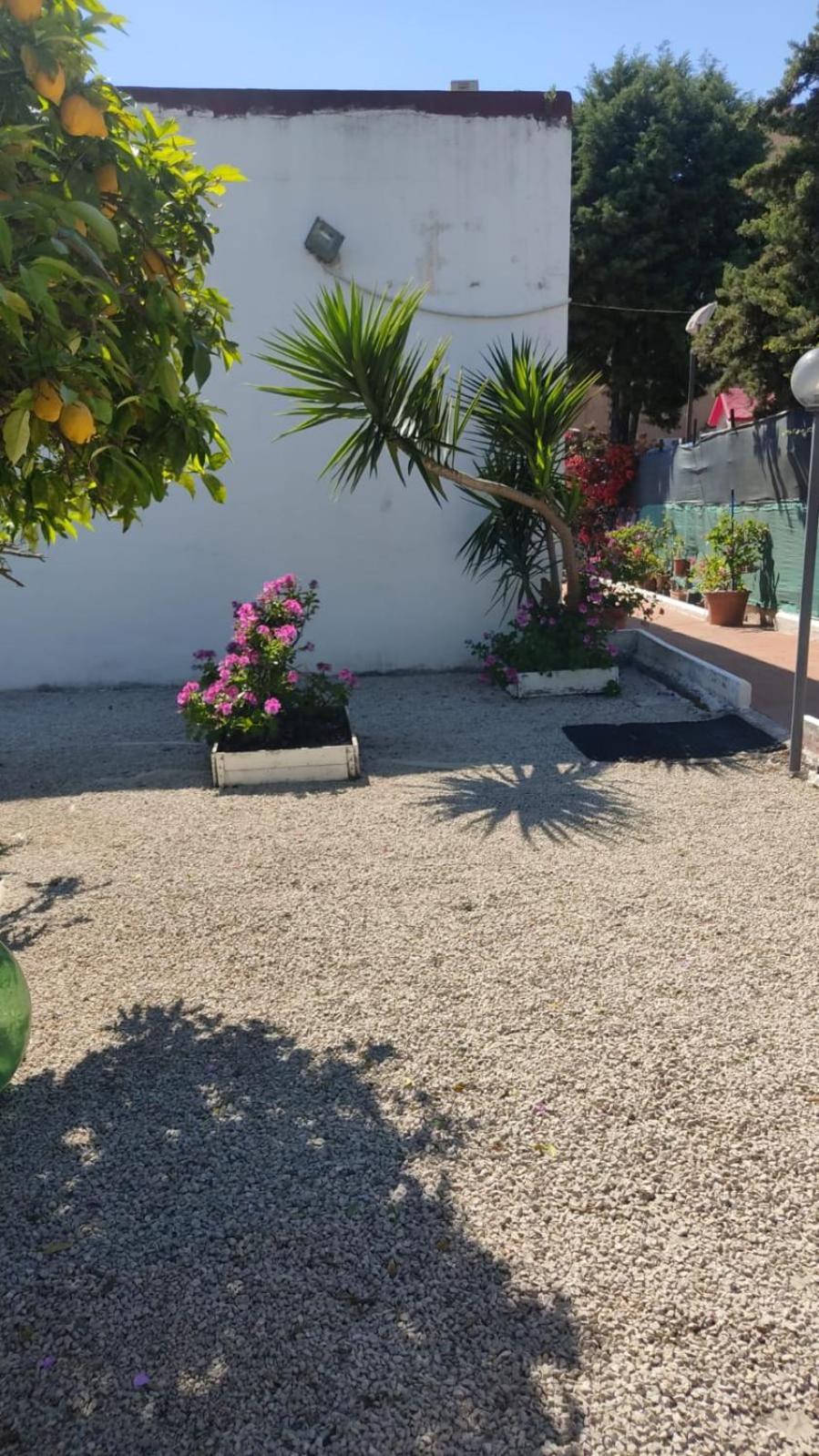 Garden Green Da Virna Torre Annunziata Extérieur photo
