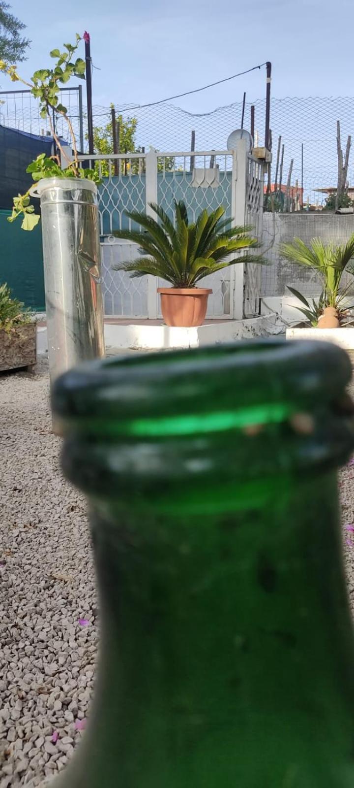 Garden Green Da Virna Torre Annunziata Extérieur photo