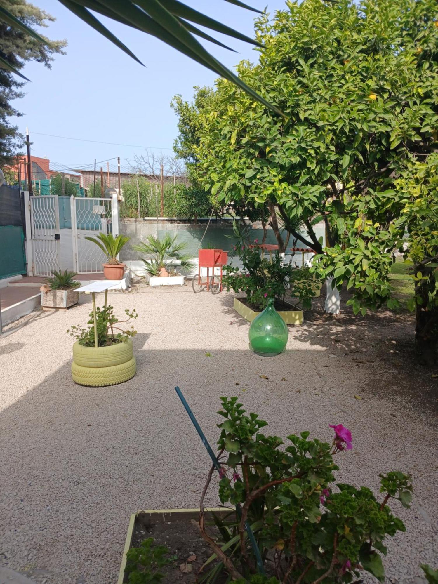 Garden Green Da Virna Torre Annunziata Extérieur photo